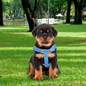 Lussuosa Pettorina per Cani di Piccola Taglia, Riflettente, in Nylon e Poliestere, Traspirante ed Elegante per Passeggiate, Disponibile nelle Taglie M, L, XL - Product Image 1