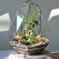 Terrarium en verre géométrique de conception contemporaine avec cadre en fer fini noir pour décoration de Table, plante succulente.