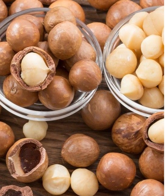 Top Class Fresh Macadamia Nuts