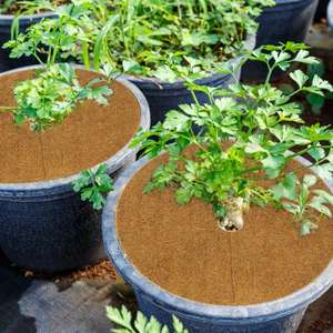 Géotextle non tissé biodégradable en fibre de coco naturelle tapis de jardinage anti-mauvaises herbes - Product Image 1