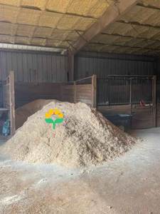 Granulés de bois de pin Sciure de bois Produit États-Unis - Product Image 2