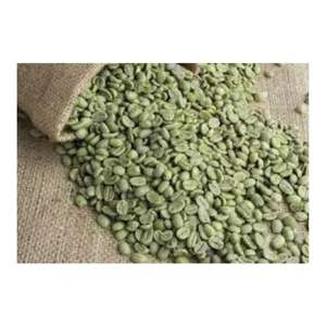 Nuevo cultivo Robusta Clean | Grado 1 - Product Image 2