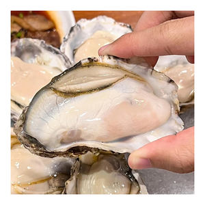 Ostras kaki de granja de alta calidad con concha, preparadas para requisitos de comercio a granel - Product Image 1