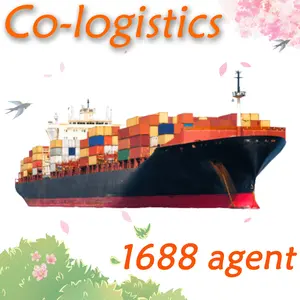 International Company From China To The USA Golden Steel 7 Days Free Container Ship Cheap Competitive 13 Years Experience 5000