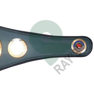 เข็มขัดแชมป์มวยรางวัลเหรียญและรางวัลสัญลักษณ์สูงสุดของชัยชนะและเข็มขัดแชมป์ยอดเยี่ยม - Product Image 3