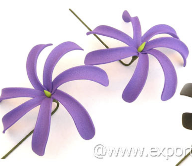 Pourpre