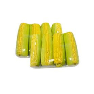 Maíz Amarillo y Blanco Orgánico No Transgénico, Maíz Dulce Seco para Consumo Humano y Animal - Product Image 2