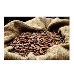 เมล็ดโกโก้ธรรมชาติสำหรับช็อกโกแลตสเปรดและของหวาน - Product Image 1