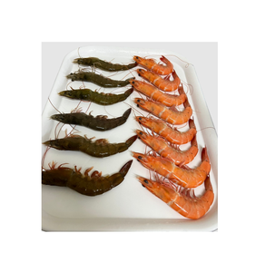Compre camarones Vannamei frescos y congelados a granel de la mejor calidad y a precios asequibles de proveedores de mariscos verificados - Product Image 6