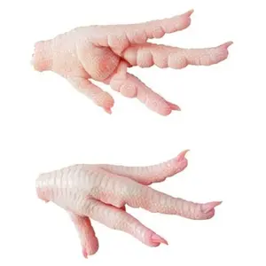 Top Selling Halal Frozen Chicken Paws Available