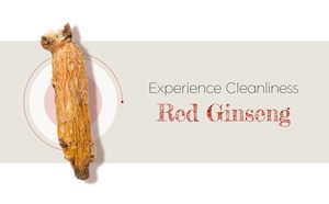 Espuma Limpiadora Facial Coreana Hong Cosmetic, Espuma Facial con Ginseng Rojo y Manzanilla, Hidratante, Exfoliante, para Poros, con Fragancia - Product Image 4