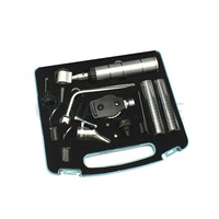 Otoscope vétérinaire ORL Ophtalmoscope Examen de l'oreille Ensemble de diagnostic nasal du larynx Ensemble chirurgical de la gorge pour chirurgie ORL