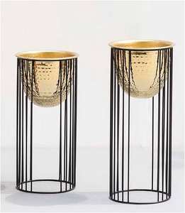 Macetas de Hierro Cromado de Diseño Creativo para Interiores y Exteriores con Soporte para Decoración de Jardín en el Hogar y Hoteles (Personalizables) - Product Image 1