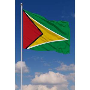 Drapeau personnalisable 3x5 pieds en nylon/polyester/aluminium/plastique/vinyle/soie pour l'automobile/l'assurance/l'éducation - Impression numérique - Personnalisé - Product Image 3