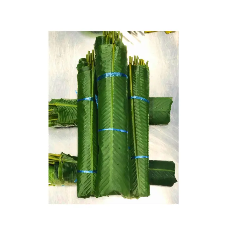Daun pisang segar untuk bahan makanan pengganti ke kantong plastik pemasok Biodegradable tanaman baru dibuat di Vietnam pembungkus makanan jumlah besar