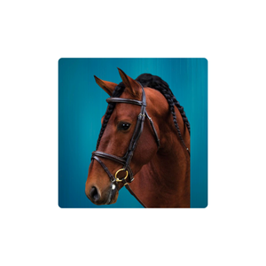 Bride de confort multifonctionnelle pour les chevaux de taille noire en épi Superbe cuir allemand Anatomique Crystal Bling Horse Product - Product Image 1