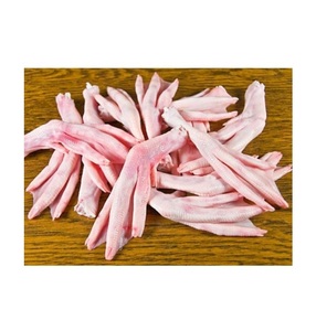 Fournisseur en gros de pattes de canard fraîches congelées pour restaurants, transformation alimentaire et entreprises culinaires - Product Image 5