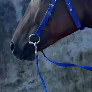 Prix raisonnable Brides d'équitation Usine Directement Vente en gros Brides d'équitation En Stock - Product Image 5