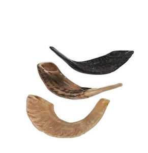 Shofar de cuerno de carnero natural pulido Kosher Shofar hecho a mano para fines religiosos y de soplado a un precio asequible - Product Image 1