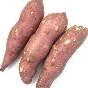 Sweet <b>Potatoes</b> bulk - Product Image 4