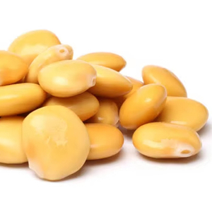 Lupin doux non décortiqué Lupinus Luteus - Product Image 1