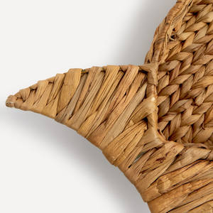 Gran oferta, bandeja para servir jacinto de agua con forma de pez llamativa, alta calidad para la decoración de la cocina del hogar hecha a mano en Vietnam - Product Image 2