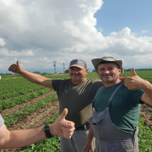 Ruban goutte-à-goutte de haute qualité, tuyaux ronds en PE et raccords d'irrigation agricole (16 mm, 20 mm, 22 mm, 25 mm) - Product Image 3