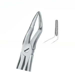 Forceps d'extraction de dents Fig.51 A Diam Instruments dentaires en acier inoxydable de haute qualité avec logo personnalisé de haute qualité - Product Image 6