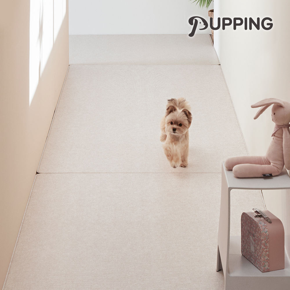 ผ้าฝ้ายใส่สบาย