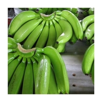 Hete Verkopende Eersteklas Cavendish Bananen, Een Handige Kant-En-Klare Snack En Een Krachtige Bron Van Essentieel Kalium.