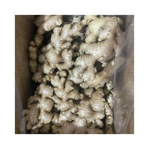 Vente en gros de gingembre frais/gingembre tranché en vrac à bas prix du Vietnam - Product Image 2