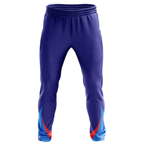 2024 Hochwertige Custom New Design Cricket Jersey Hose Bester Preis OEM Cricket Uniformen mit Sublimation - Product Image 3