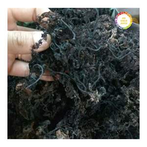 Algas marinas de sargazo secas naturales para procesamiento alimentario, mezclas de té y mercados de exportación - Product Image 4