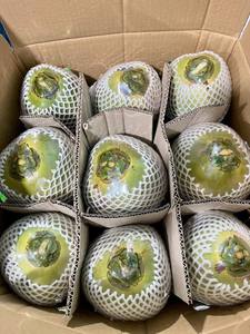 Vente en gros de jeunes noix de coco fraîches du Vietnam pour la distribution en vrac de fruits aux supermarchés, destinées aux marchés mondiaux du commerce de boissons et d'aliments. - Product Image 4