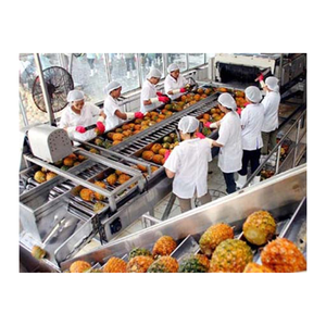 แหวนสับปะรดอบแห้งแบบนิ่มขนมขบเคี้ยวเพื่อสุขภาพ - Product Image 2