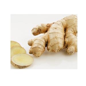 Gran oferta, raíz de jengibre seca de alta calidad, jengibre fresco orgánico - Product Image 6