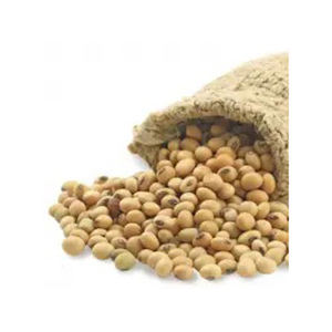 Soja en gros prix bon marché approvisionnement en vrac qualité d'exportation - Product Image 1