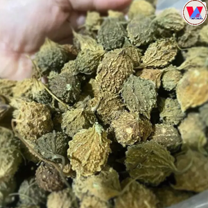 Meilleur prix Ingrédient alimentaire sain Melon amer séché Fruit entier Variété de la forêt du Vietnam - Product Image 2