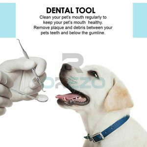 Raspador Periodontal Profesional, Diseño de Precisión, Instrumento de Higiene Dental, Mango Ergonómico, Uso Clínico - Product Image 5