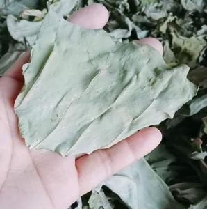 Hojas de Taro Secas y Picadas 4oz/100g, Estándar de Exportación, Hojas de Vegetales al Mejor Precio desde Vietnam ANGLE - Product Image 4