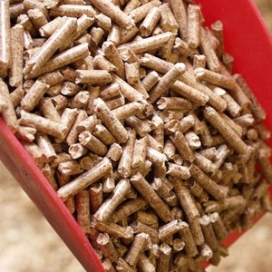 Granulés de bois de qualité supérieure Europe EN Plus-A1 6mm 8mm Pin Autriche Hêtre Briquettes Motif bâton Prix de gros Emballés - Product Image 1