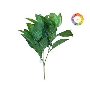 Tự nhiên khô bưởi lá cho sức khỏe các loại trà cung cấp số lượng lớn có sẵn với giá cả cạnh tranh - Product Image 3