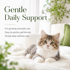 Großhandel <span class=keywords><strong>Katzen</strong></span>-Schnupfen- und Nasensekret-Entlastungsgel Hochwirksames L-Lysin zur Unterstützung der Immunabwehr bei Feline <span class=keywords><strong>Herpes</strong></span> Paste OEM - Product Image 2