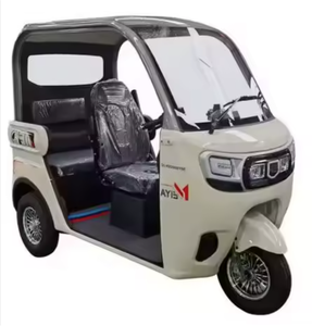 NOUVEAU Tricycles Électriques 4 Places à Carrosserie Fermée, Moteur Haute Puissance, pour Passagers (Type Mini) - Product Image 1