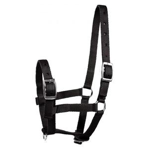 Cabestro para Caballo Duradero, Diseño Ajustable, Soporte Fuerte, Ajuste Cómodo para Entrenamiento, Manejo, Uso en Establos y Cuidado Ecuestre Diario - Product Image 1