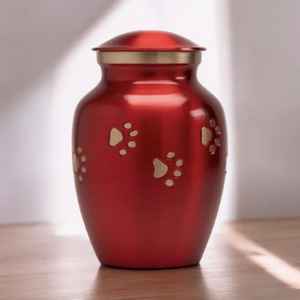 Urne classique en laiton pour animaux de compagnie avec des accents d'empreinte de patte d'or finition brillante métal commémoratif gravure personnalisée ailes d'ange petites urnes pour animaux de compagnie - Product Image 4