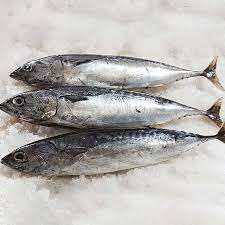 Seabream, congelador - Product Image 3