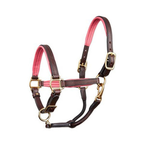 Licou de polo en cuir durable pour chevaux ajustement réglable rembourrage doux bandeau de nez confortable conception sécurisée pour l'entraînement équestre - Product Image 2