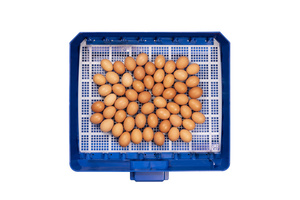 Borotto Lumia 56 incubateurs d'oeufs usage domestique automatique meilleur prix capacité de 56 pièces, 224 pièces incubateur d'oeufs pour vente d'oeufs de faisan - Product Image 3