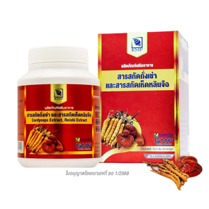 Venta directa de alta calidad marca KMP Thai Cordyceps Plus Reishi Cápsula de extracto de hierbas 30 cápsulas/caja producto premium salvaje - Product Image 1